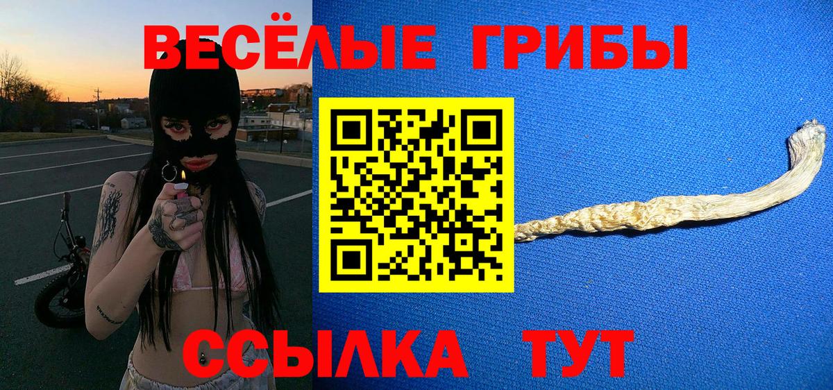 Галлюциногенные грибы мицелий Дагестанские Огни